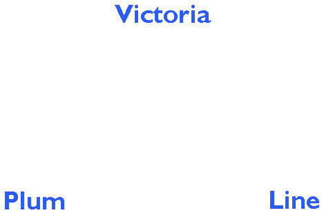 Figure it out, then select a letter below
